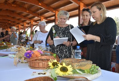 Dożynki Gminne 2025 w Wojsławicach